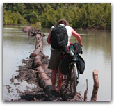 Log Bridge Bike